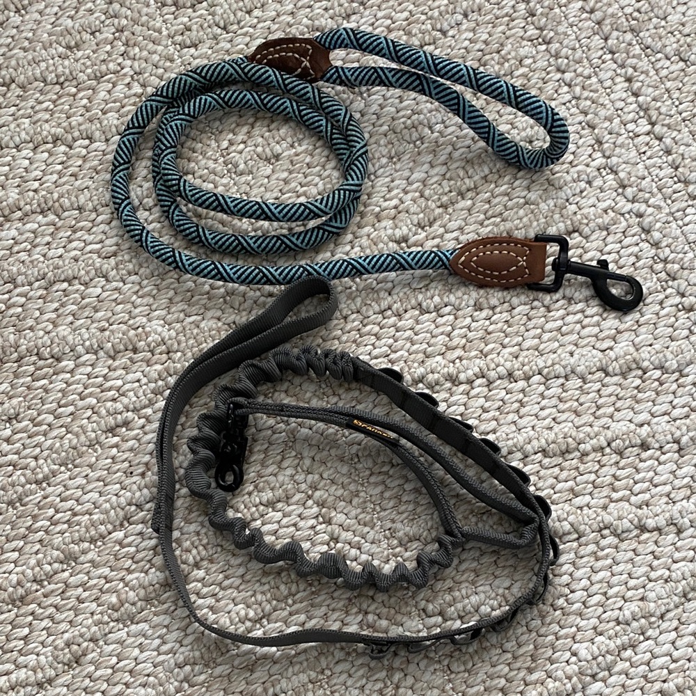 Pet leashes
